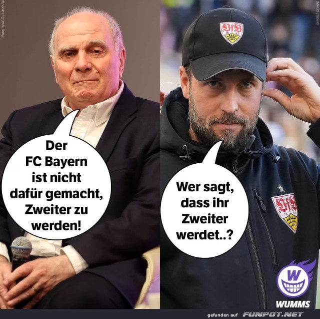 FC Bayern: Wer den Schaden hat...