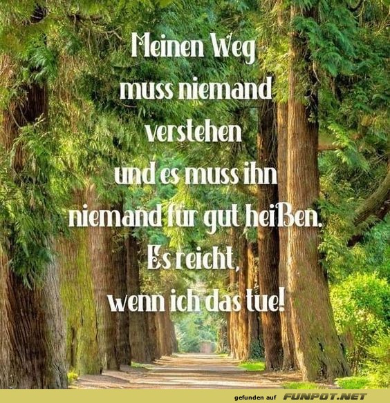 Meinen Weg mu niemand verstehen