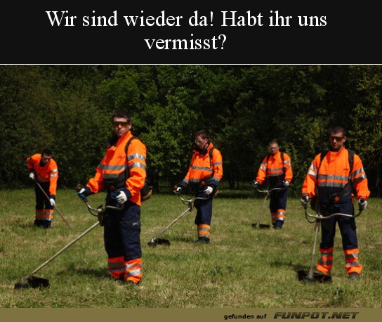 Wir sind wieder da Wir sind wieder da