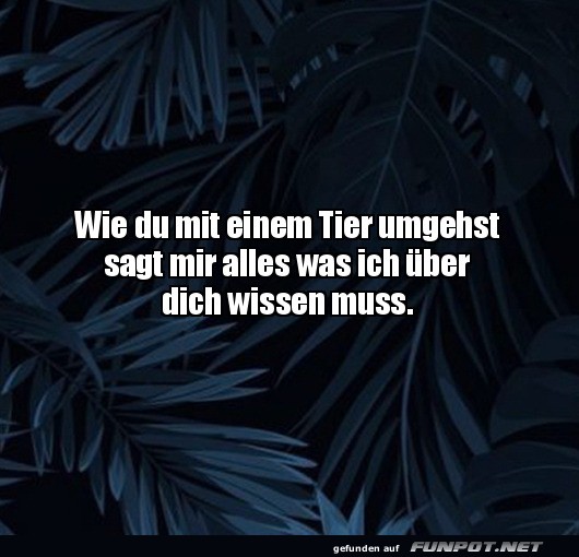 Das stimmt