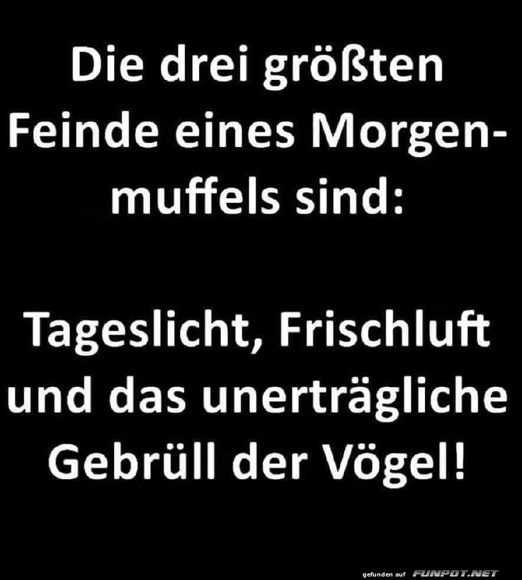 Feinde eines Morgenmuffels