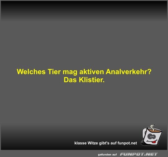 Welches Tier mag aktiven Analverkehr?