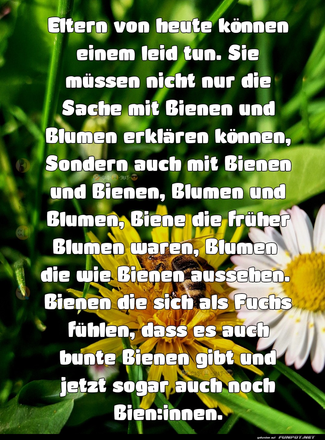 Biene die mal Blume war