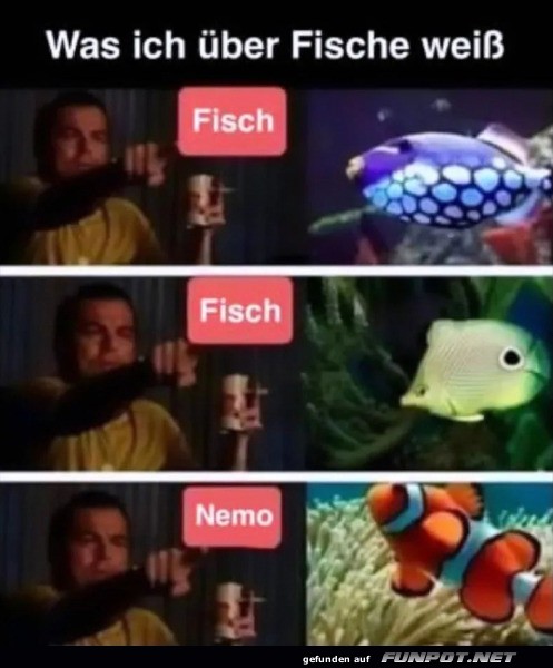 Fische