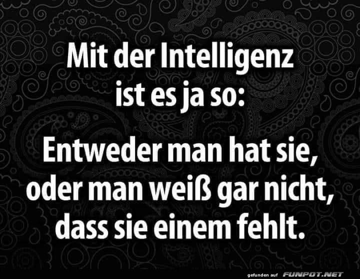 Mit der Intelligenz