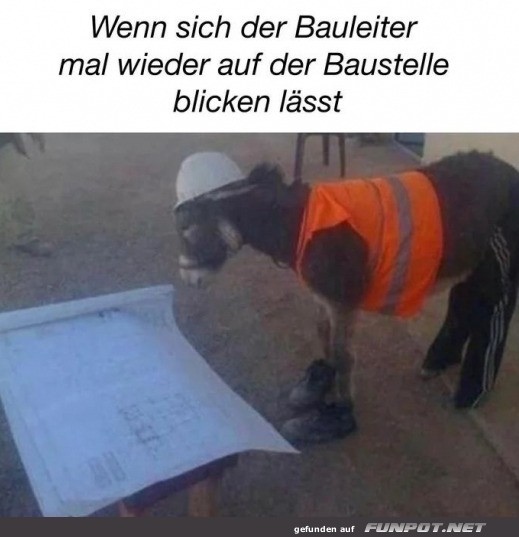 Bauleiter ist da