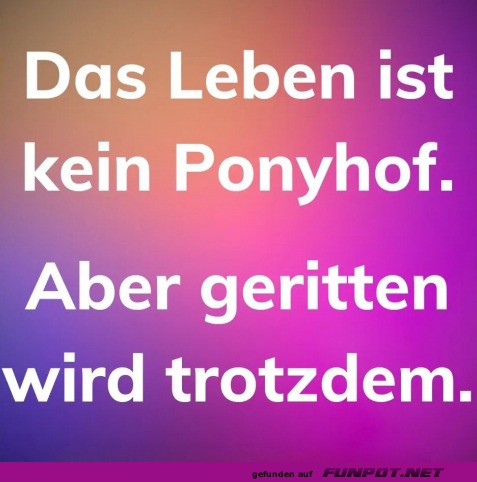 Das Leben ist kein Ponyhof