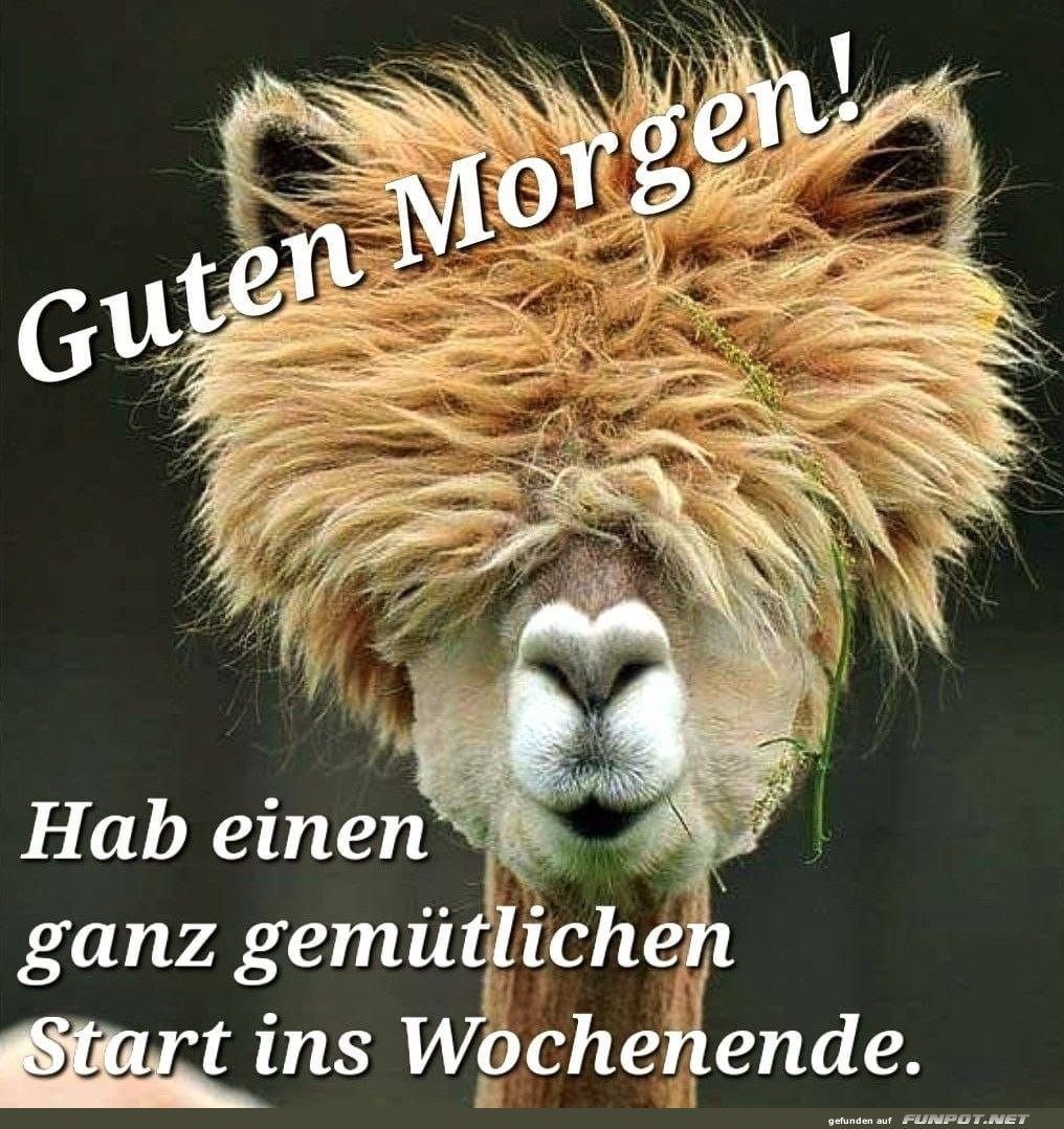 Guten Morgen