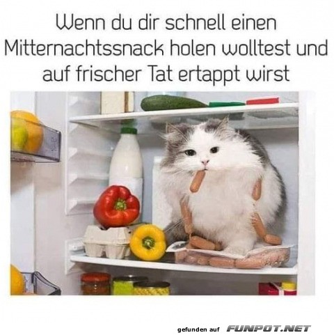 In flagranti erwischt