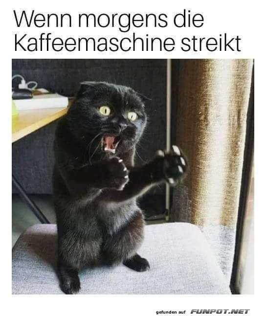 Wenn die Kaffeemaschine morgens streikt