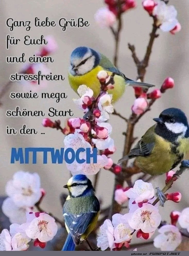 Schnen Mittwoch