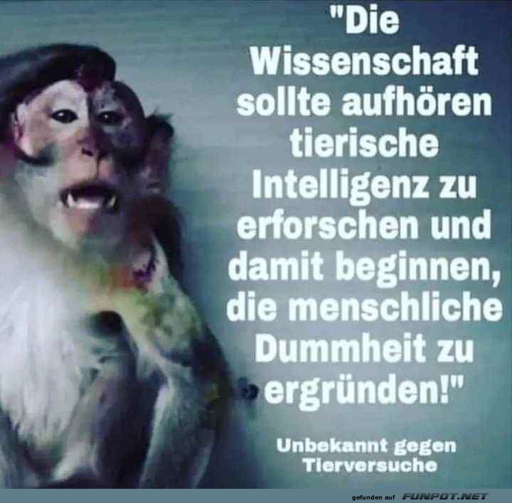 Das wre ein Anfang