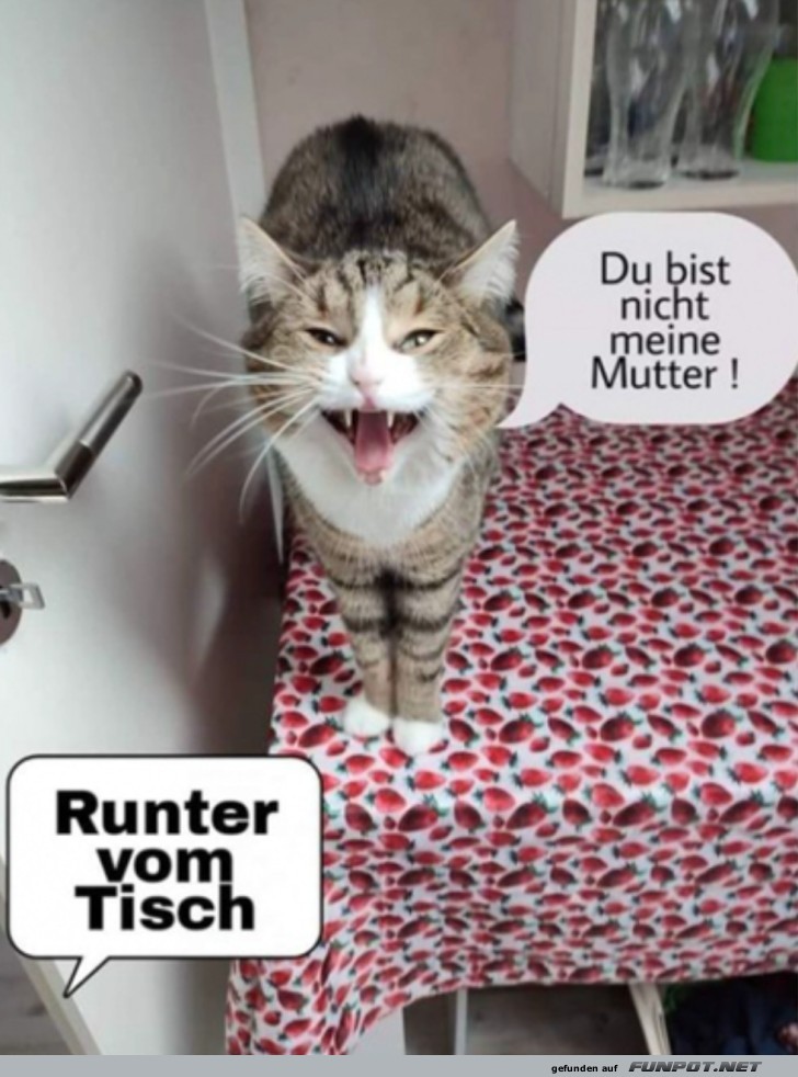 Runter vom Tisch