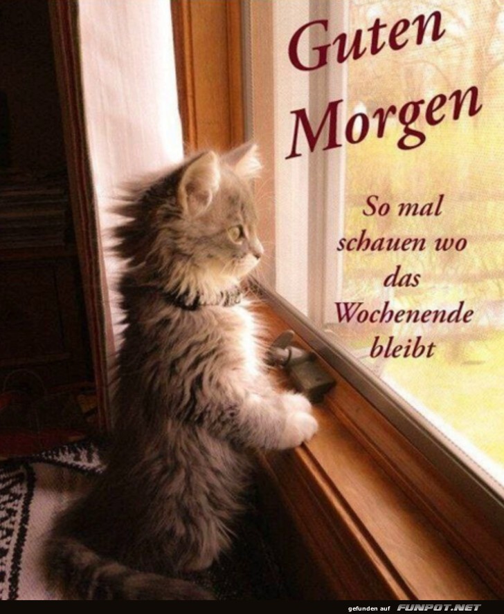 Guten Morgen