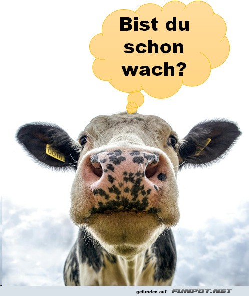 Schon wach?