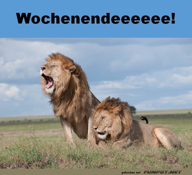 Wochenende