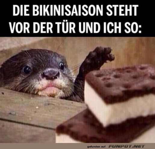 Die Bikini-Saison