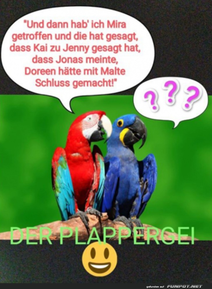 Der Plappergei