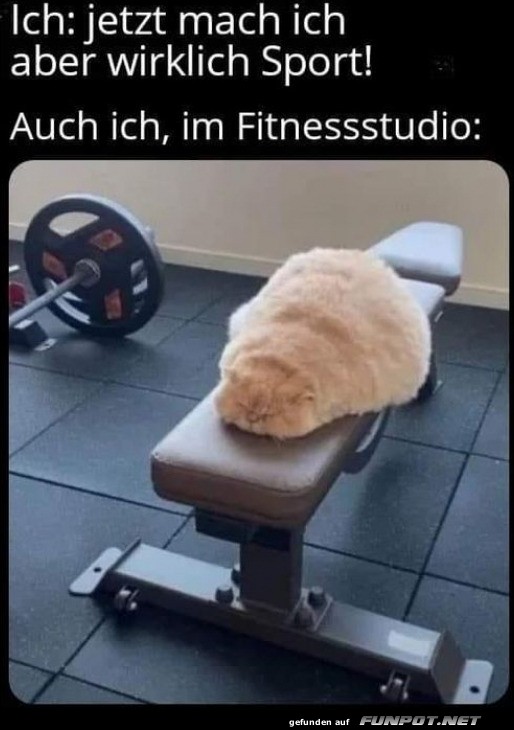 Im Fitnessstudio