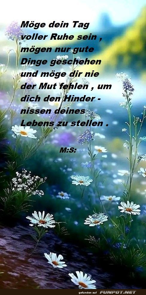 Mge dein Tag voller Ruhe sein