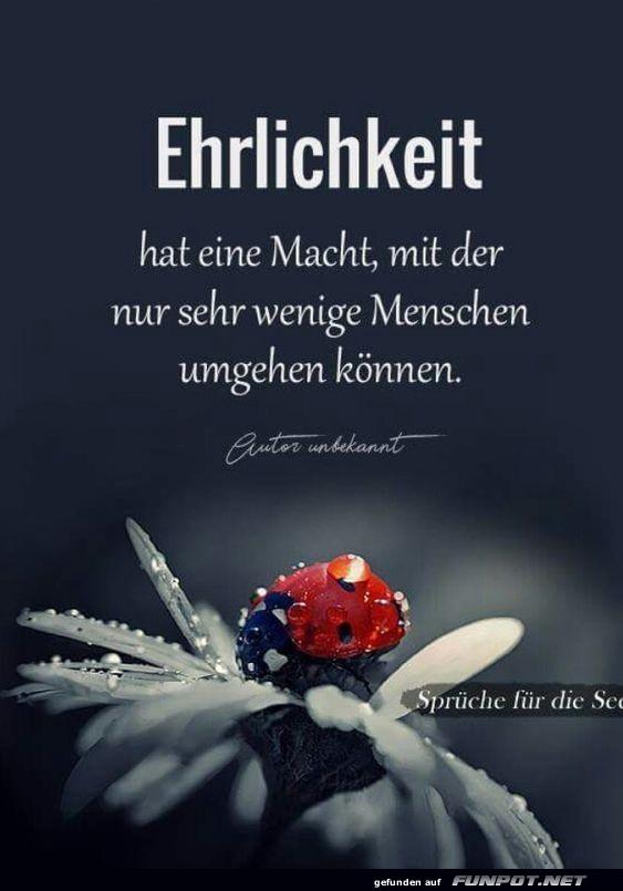 Ehrlichkeit