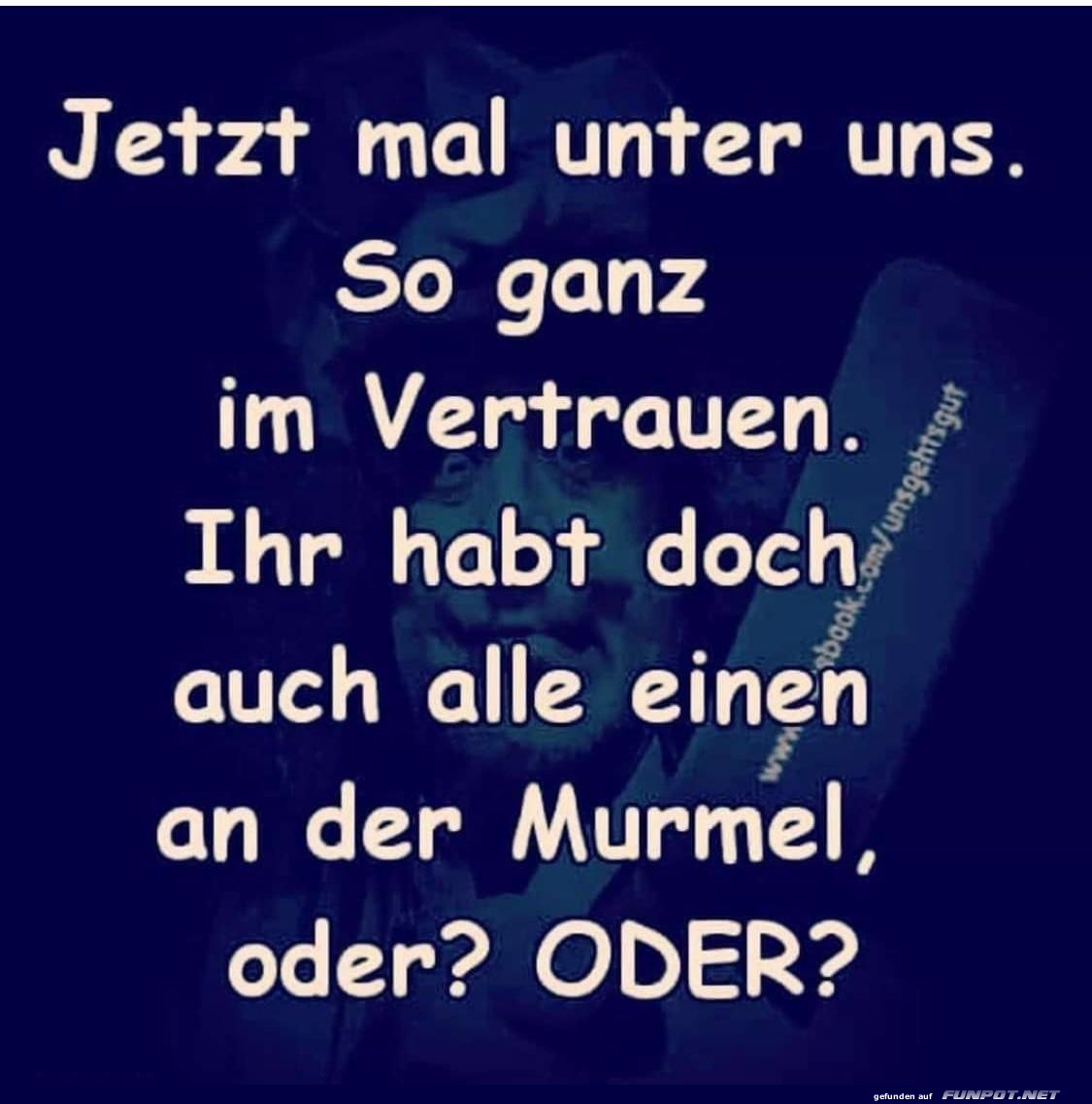 Unter uns