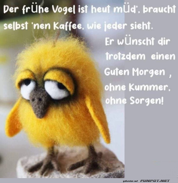 Der frhe Vogel