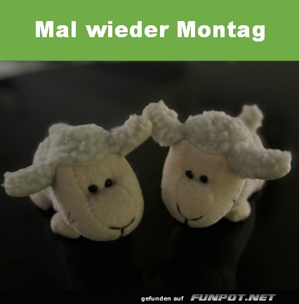 Montag