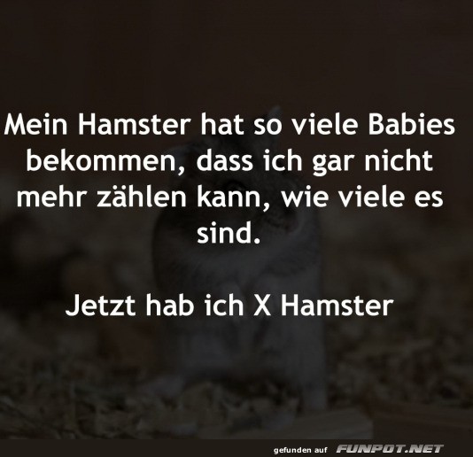 Viele Hamster
