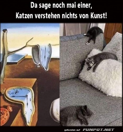 Katzen und Kunst