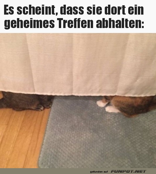 Geheimes Treffen