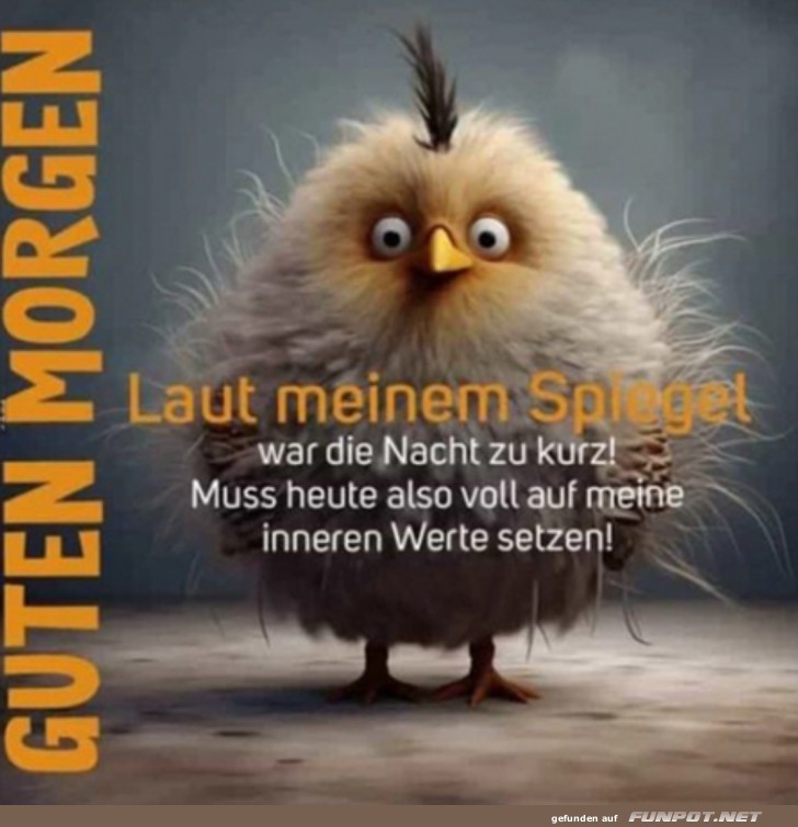 Guten Morgen