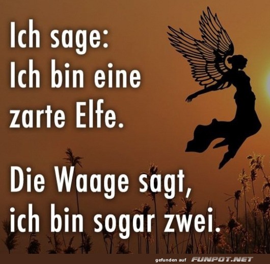 Eine zarte Elfe