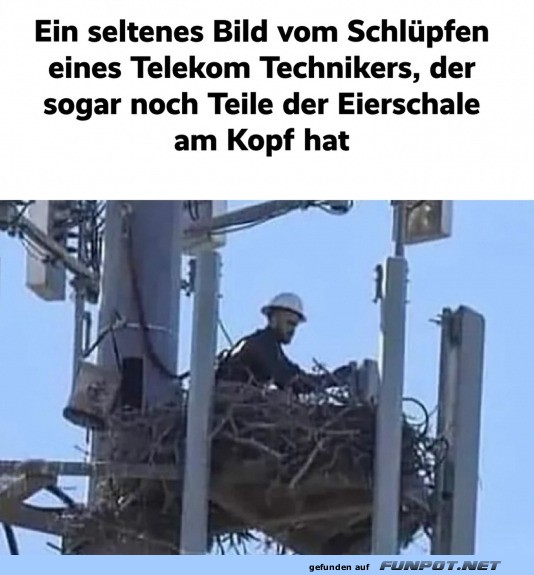 Techniker geschlpft