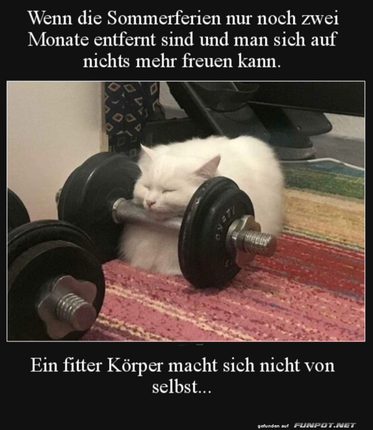 Ein fitter Krper macht sich nicht von selbst