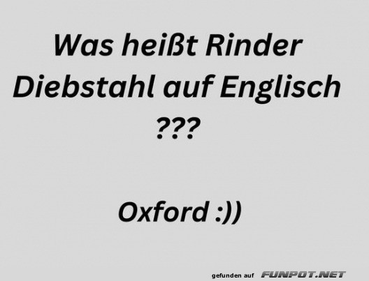 Rinder Diebstahl Rinder Diebstahl