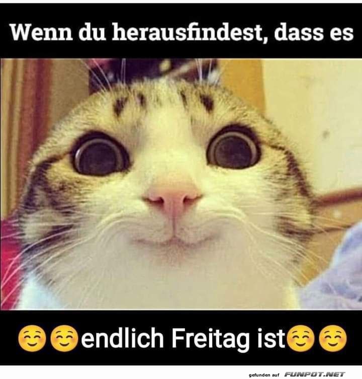 Endlich Freitag