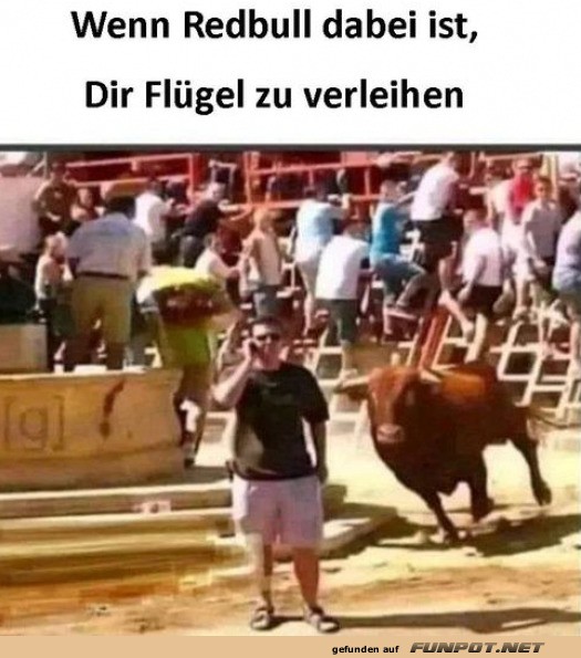 Er hat gleich Flgel