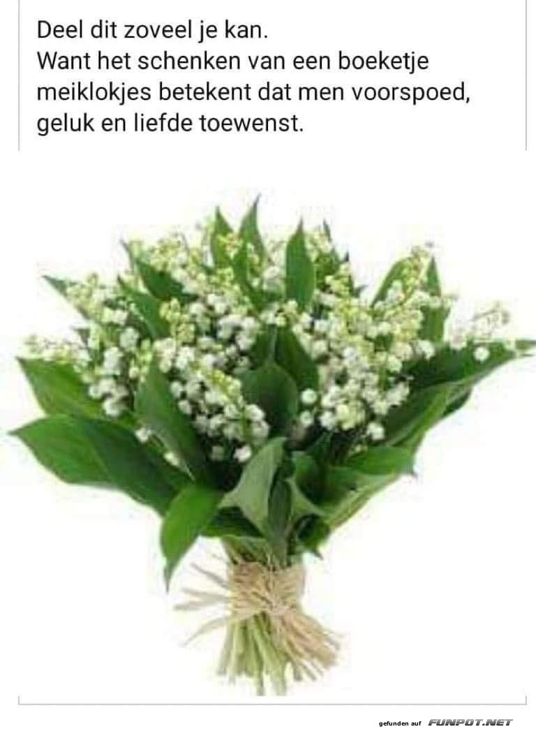 1 mei 3