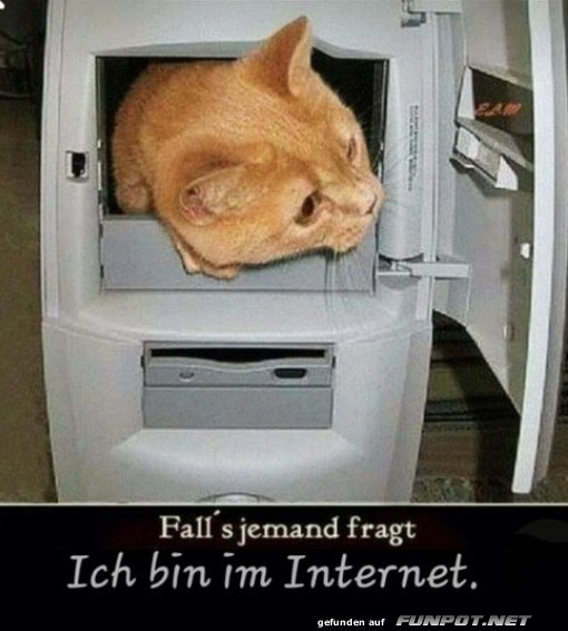 Bin im Internet