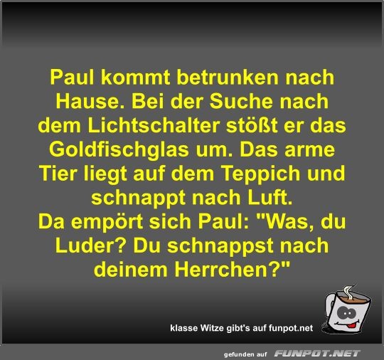 Paul kommt betrunken nach Hause