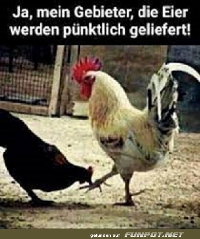 Ja, mein Gebieter Ja, mein Gebieter