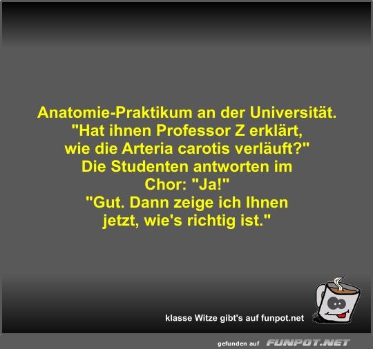 Anatomie-Praktikum an der Universitt