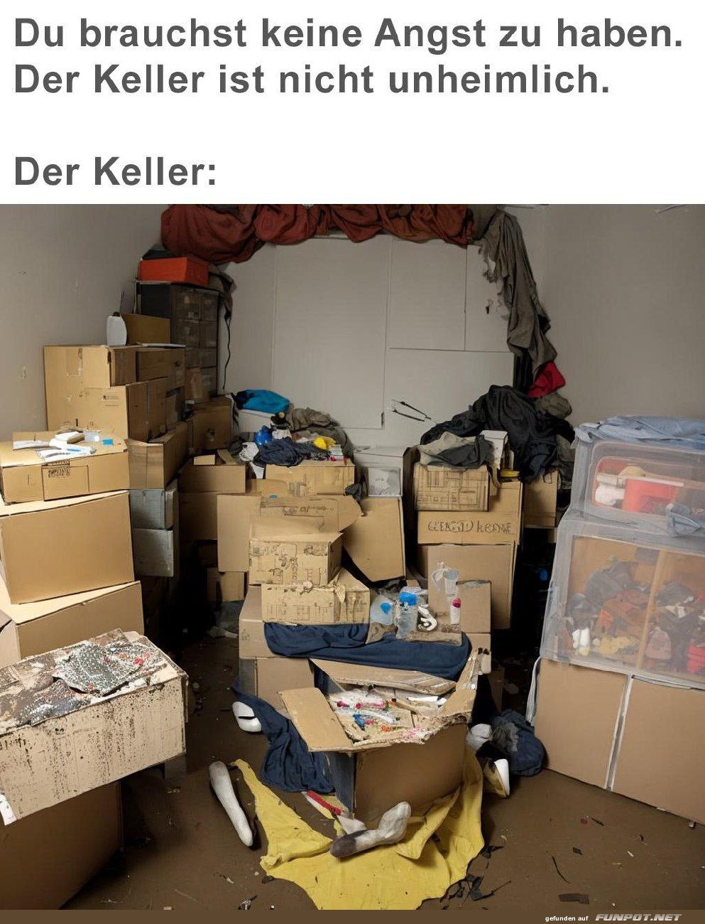 Der Keller