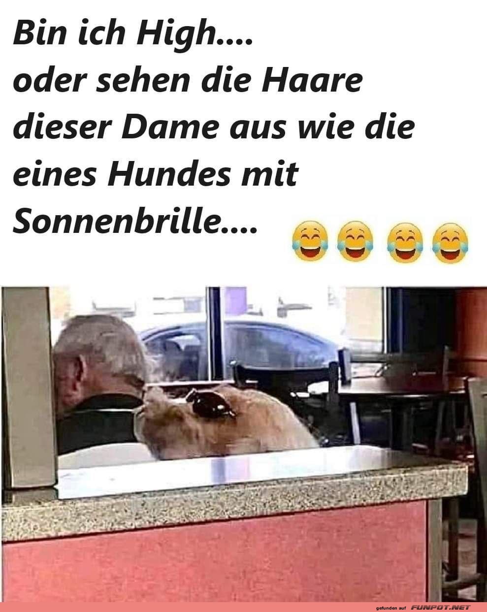 Sieht lustig aus