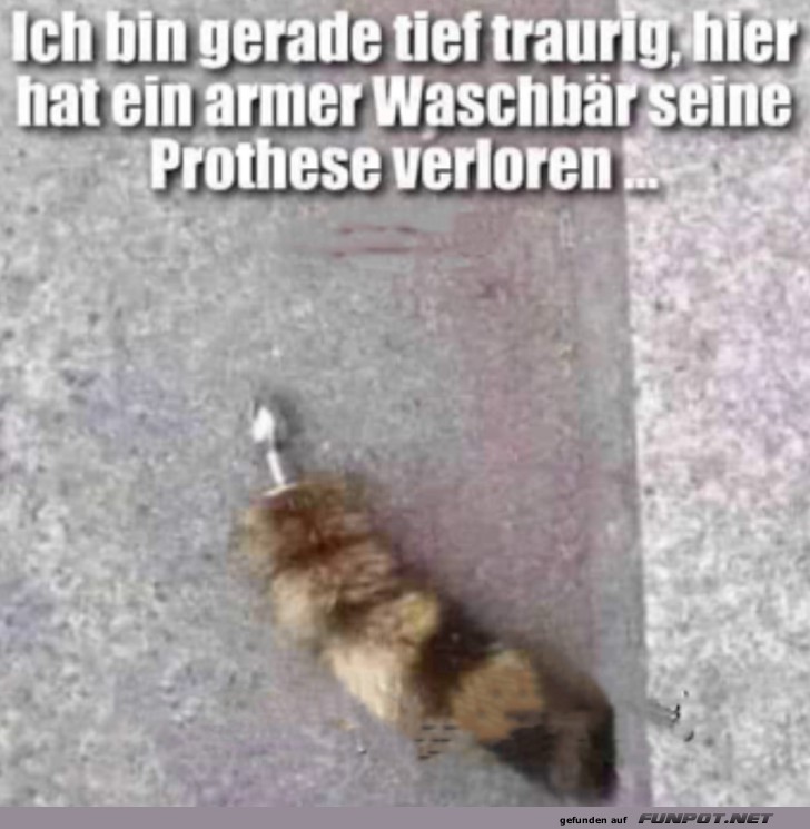 Prothese verloren