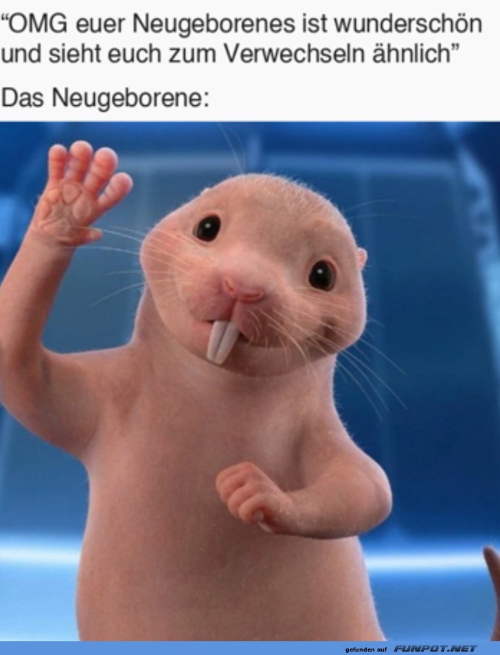 Wie hübsch Wie hübsch