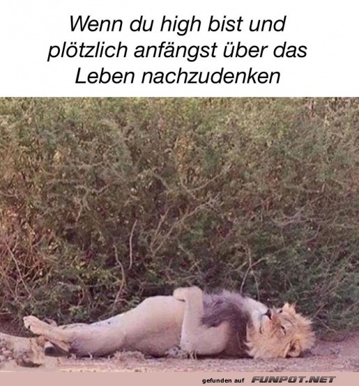 Mal nachdenken