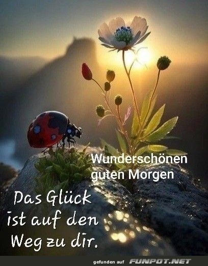 Wunderschoenen guten Morgen