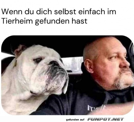 Ich aus dem Tierheim